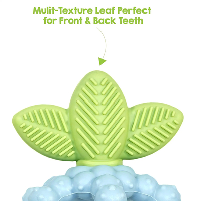 BPA Free Easy to Hold Textured Bites Relief Teether Soothe Babies' Sore Gums